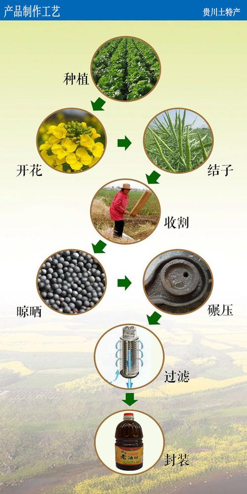 销售四川压榨菜籽油菜油压榨菜籽油食用油桶装菜籽油1.